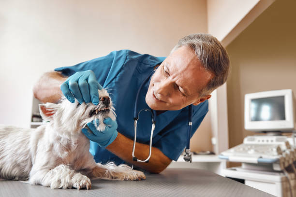 Best After-Hours Dental Care in Clarkston, GA